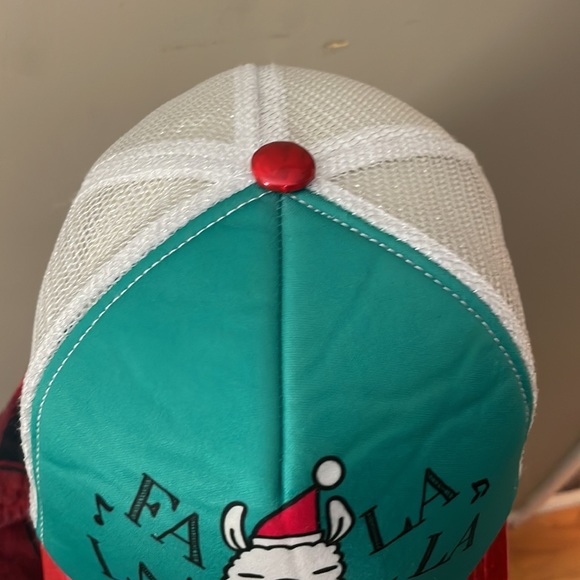 Hat - Picture 5 of 6